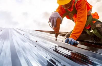 Travaux de zinguerie à Précigné